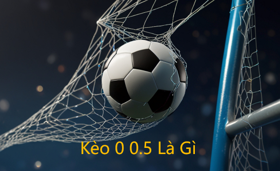 Kèo 0 0.5 Là Gì