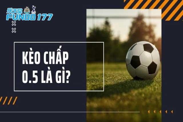 Chơi kèo 0.5 1 như thế nào để thắng lớn? Bí kíp từ cao thủ