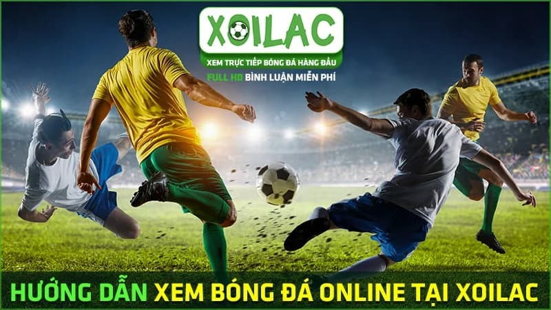 bong da 88 com xem trực tiếp bóng đá miễn phí, chất lượng cao