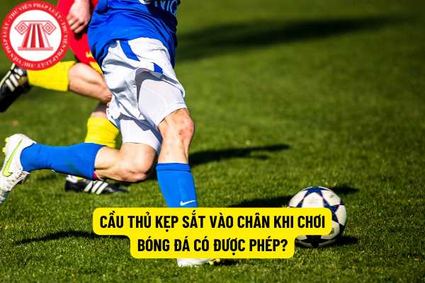 Bong da m7 và những điều cần biết cho người mới bắt đầu