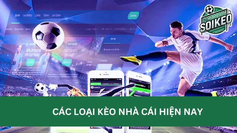 Xem bong da nha cai - Cập nhật kèo nhà cái, soi kèo bóng đá chính xác